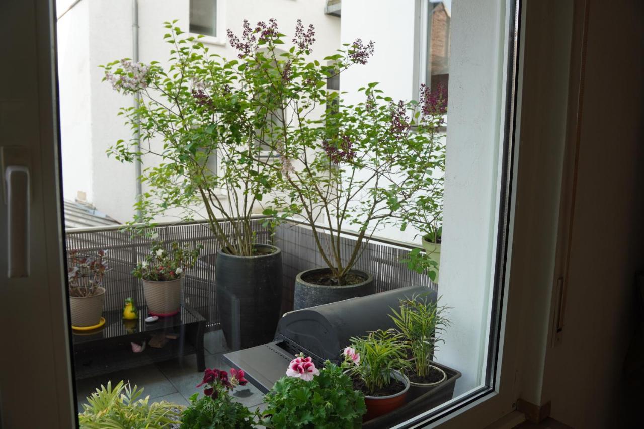Bright, Spacious Apartment With A Lovely Terrace In The Heart Of Aachen Kültér fotó